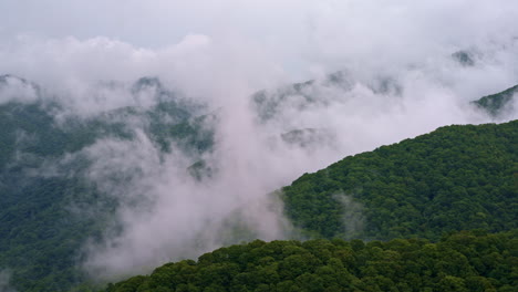 aerial journey through the foggy smoky mountain wilderness