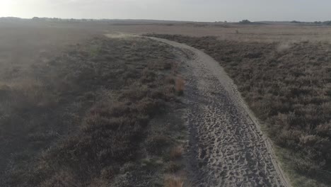 Drone-shot-of-a-dirt-road-in-the-middle-of-nature