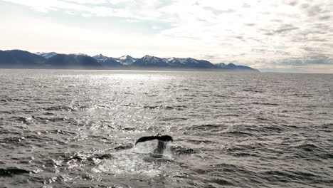 Cola-De-Ballena-Jorobada-Desapareciendo-En-El-Océano-Con-Montañas-Al-Fondo