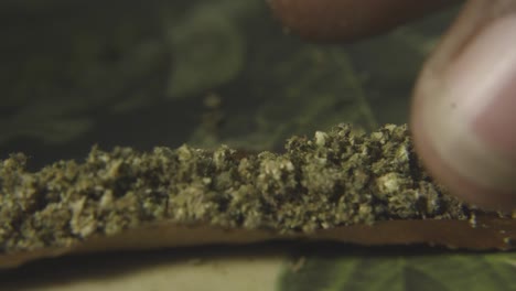 un emballage de chanvre est recouvert de bourgeons de cannabis se préparant à rouler un blunt pour fumer de la marijuana