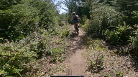 mountain biker riding on beautiful single track trails in the pacific northwest with woman mountain biking in front