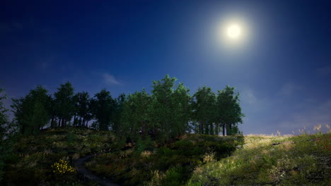 beautiful panoramic landscape of the mountain valley