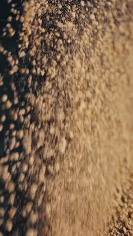 abstract motion of golden granular particles