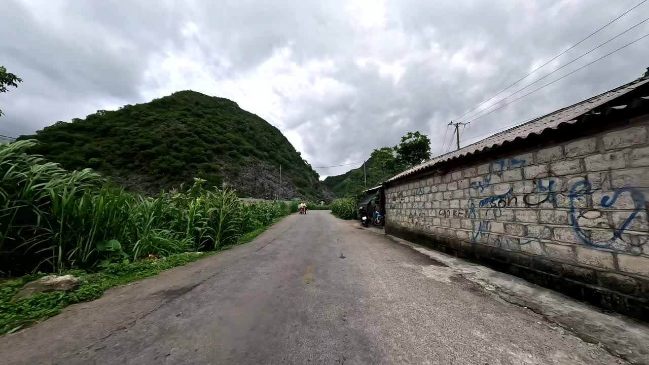 Country Road Through Cornfields In The Village Of Ha Giang Province In Northern Vietnam. POV Shot