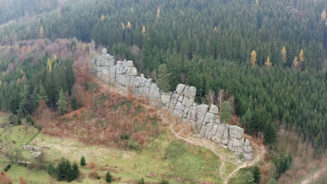 toma aérea de un hermoso paisaje salvaje, un bosque de montaña prístino con una pared de roca