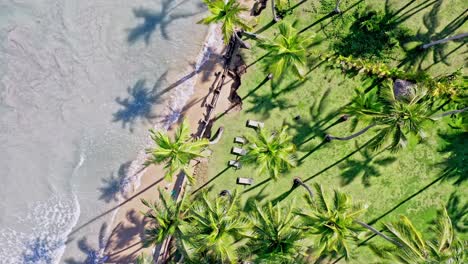 playa coson - tropical beach in las terrenas, dominican republic - aerial top down