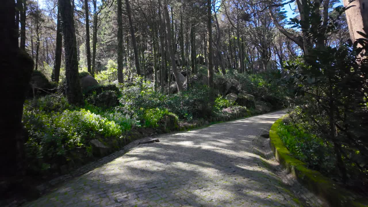 Cobblestone alley surrounded by trees in Sintra’s forest