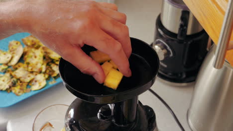 Putting-freshly-cut-pineapple-cubes-into-a-masticating-juicer