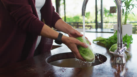 manos de una mujer caucásica embarazada lavando verduras en la cocina