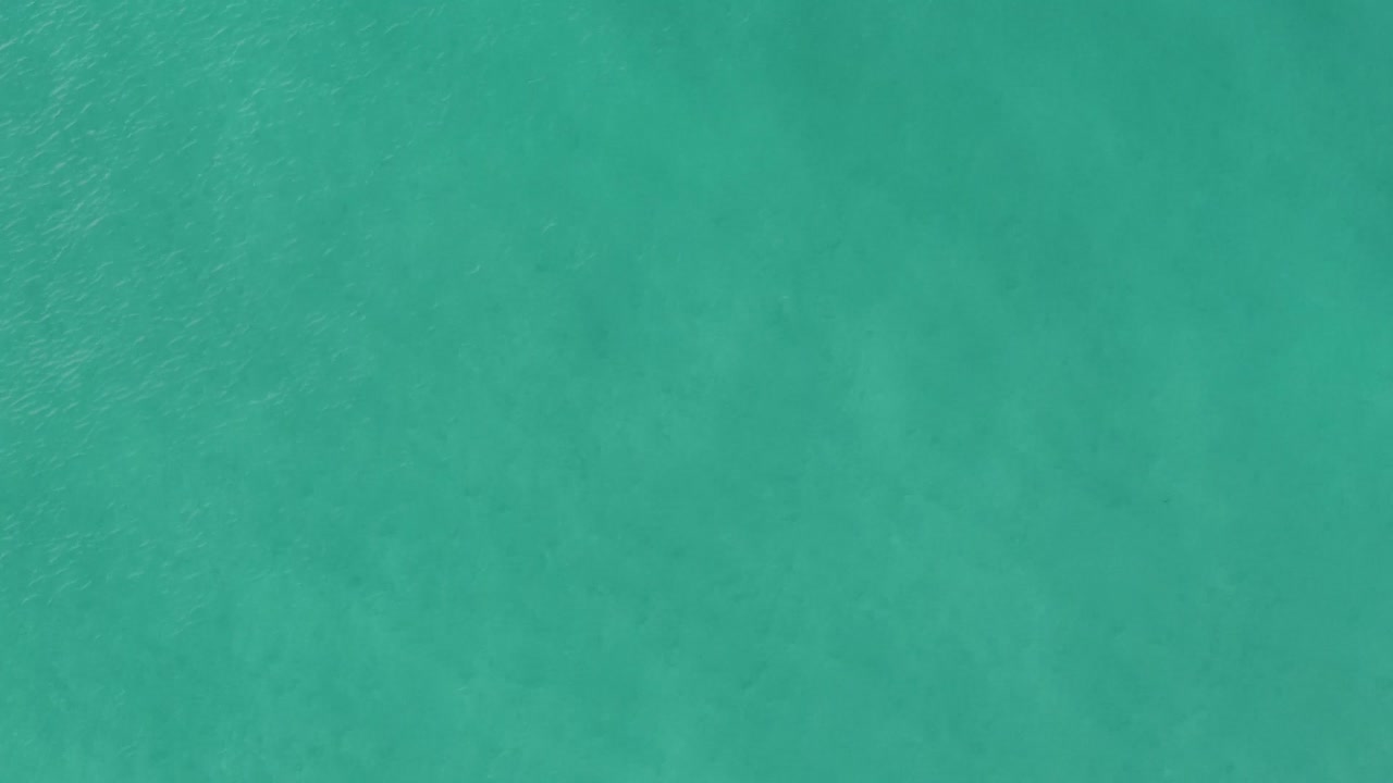 디스틴 플로리다 - 디스틴 플로리다의 멕시코 만의 투르코이즈 바다 물에서 헤엄치는 작은 물고기들의 학교