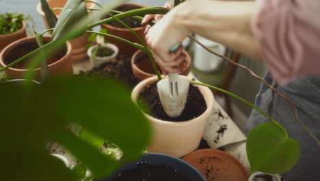 crop female gardener putting soil into pot