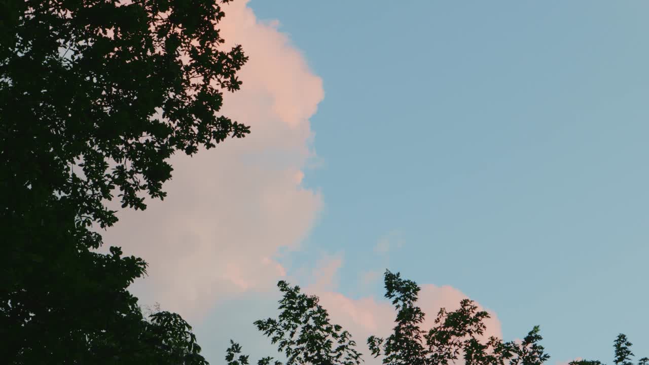 분홍색 요정 하늘 구름 환상 꿈 마젠타 배경