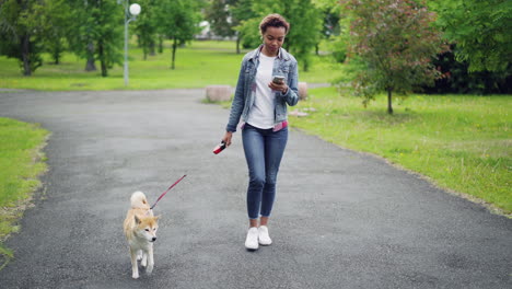 mujer paseando a un perro en un parque