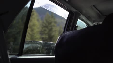 Black-Labrador-dog-looks-out-open-window-as-car-drives-in-mountains