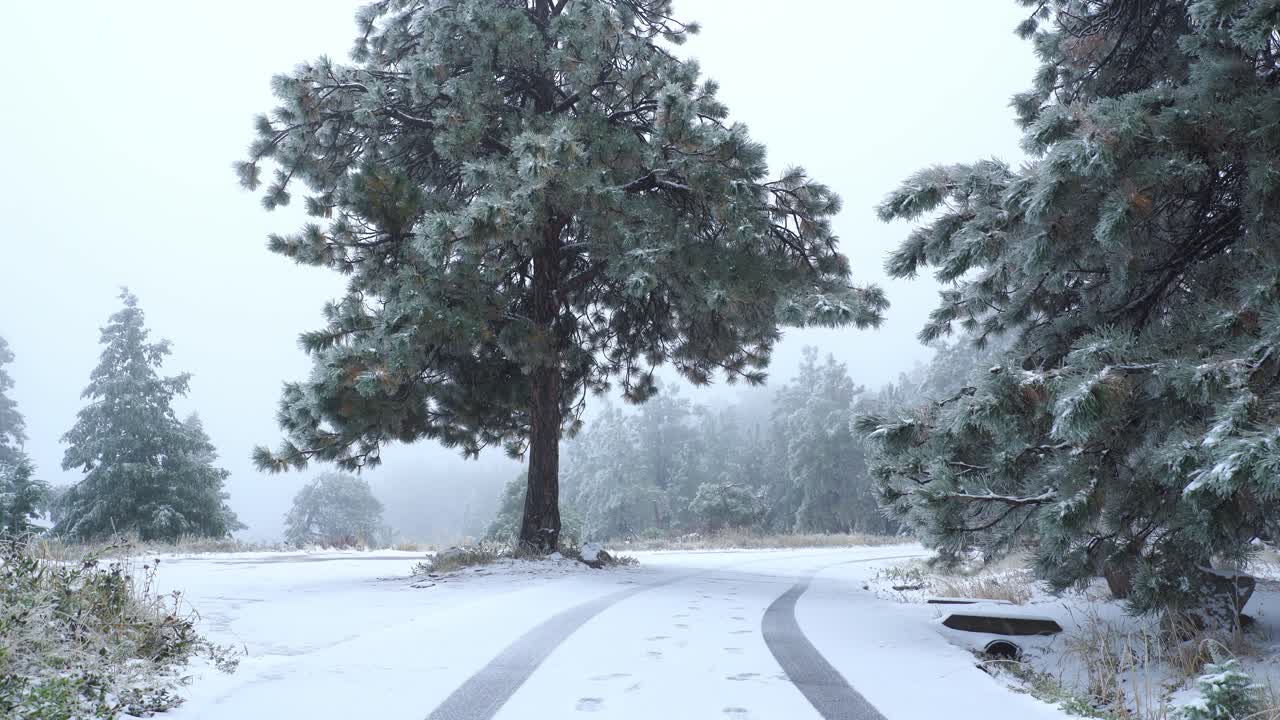 록키산맥에 첫 눈이 내린다