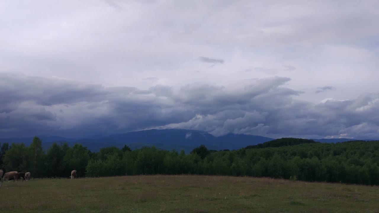 여름 카르파티아