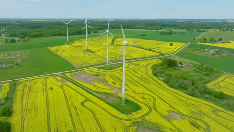aerial establishing view of wind turbines generating renewable energy in the wind farm, blooming yellow rapeseed fields, countryside landscape, sunny spring day, wide drone orbit shot