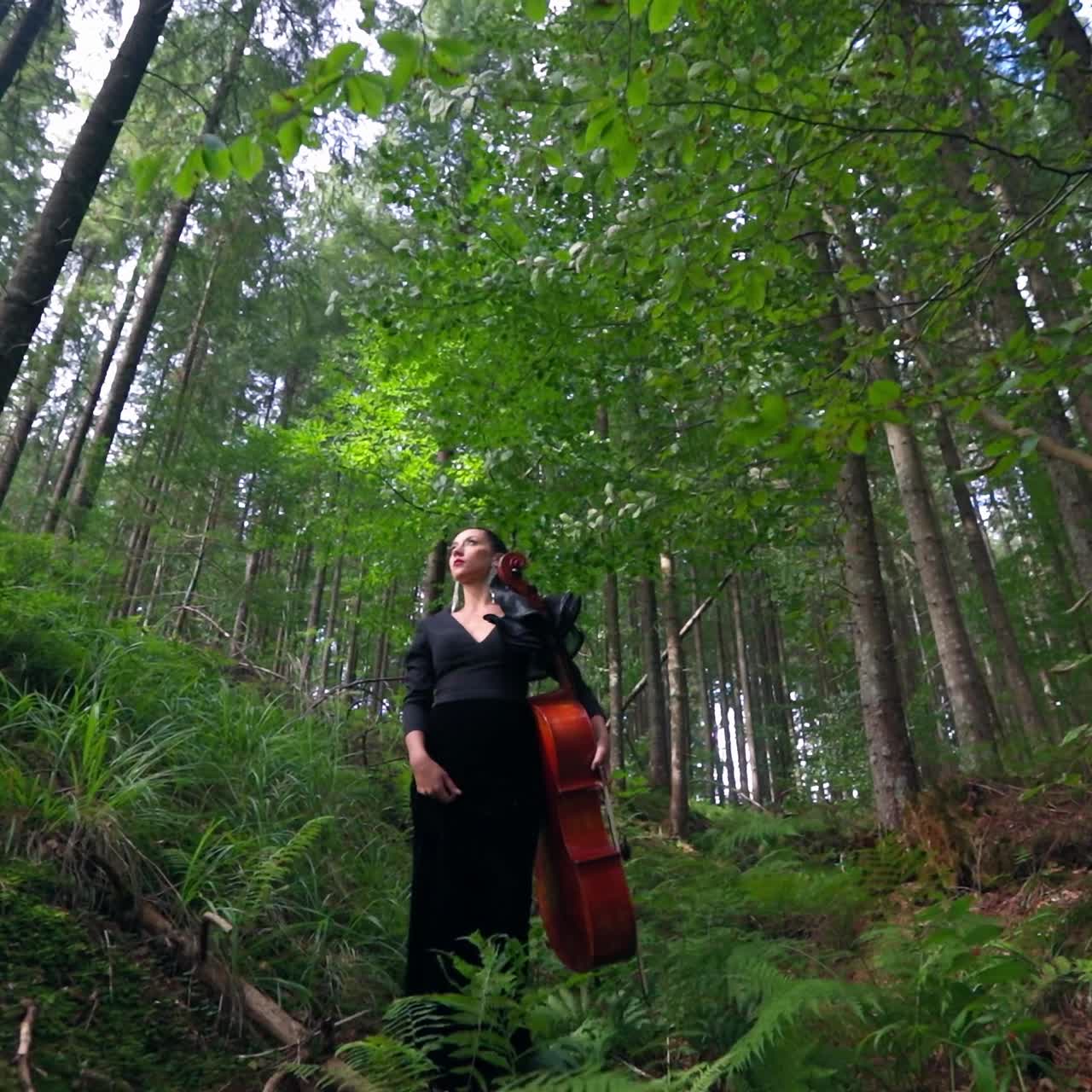 Female musician among green nature. Beautiful woman in luxury dress walking in the forest with a large cello in her hands.