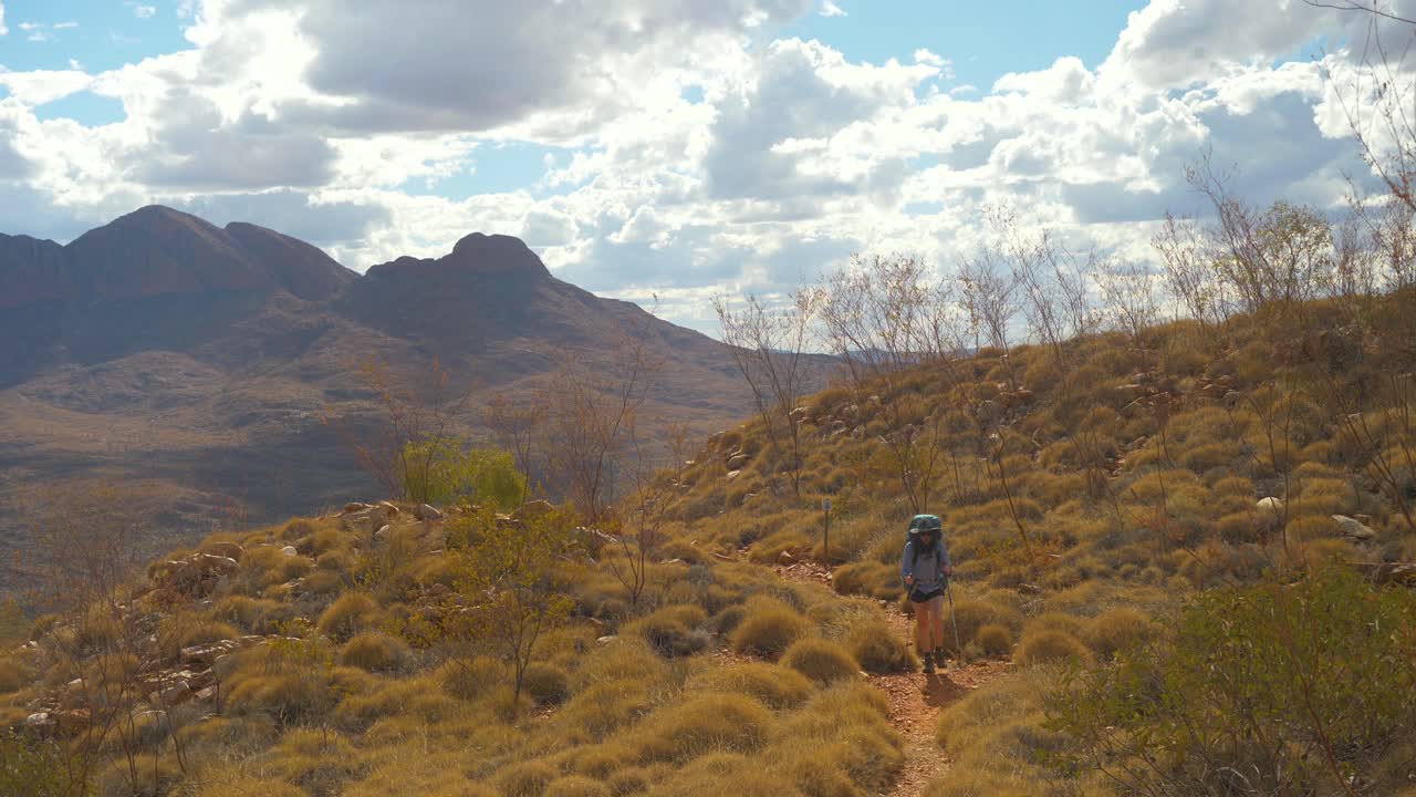 excursionista camina a través de spinifex, paisaje montañoso, australia central