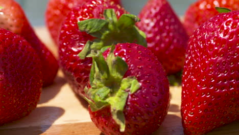 close up pan over a bunch of freshly harvested, bright red strawberries in the sunlight