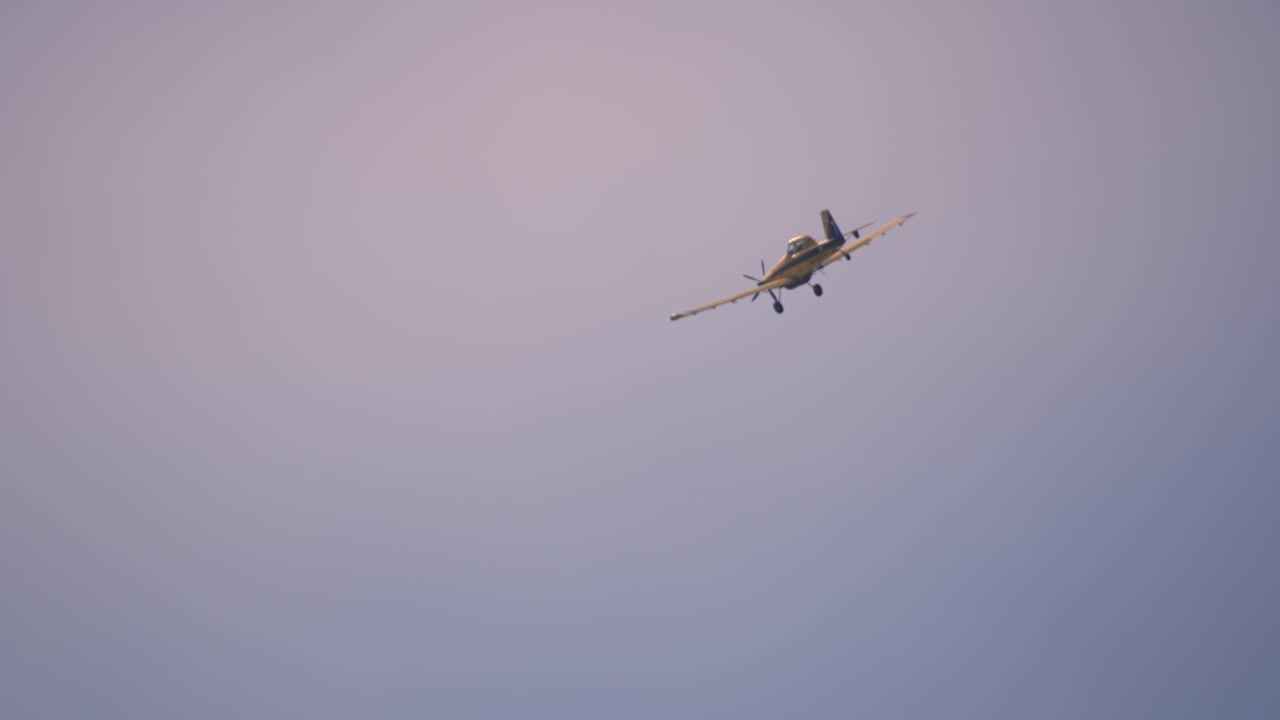 Lille gult fly flyver på himlen