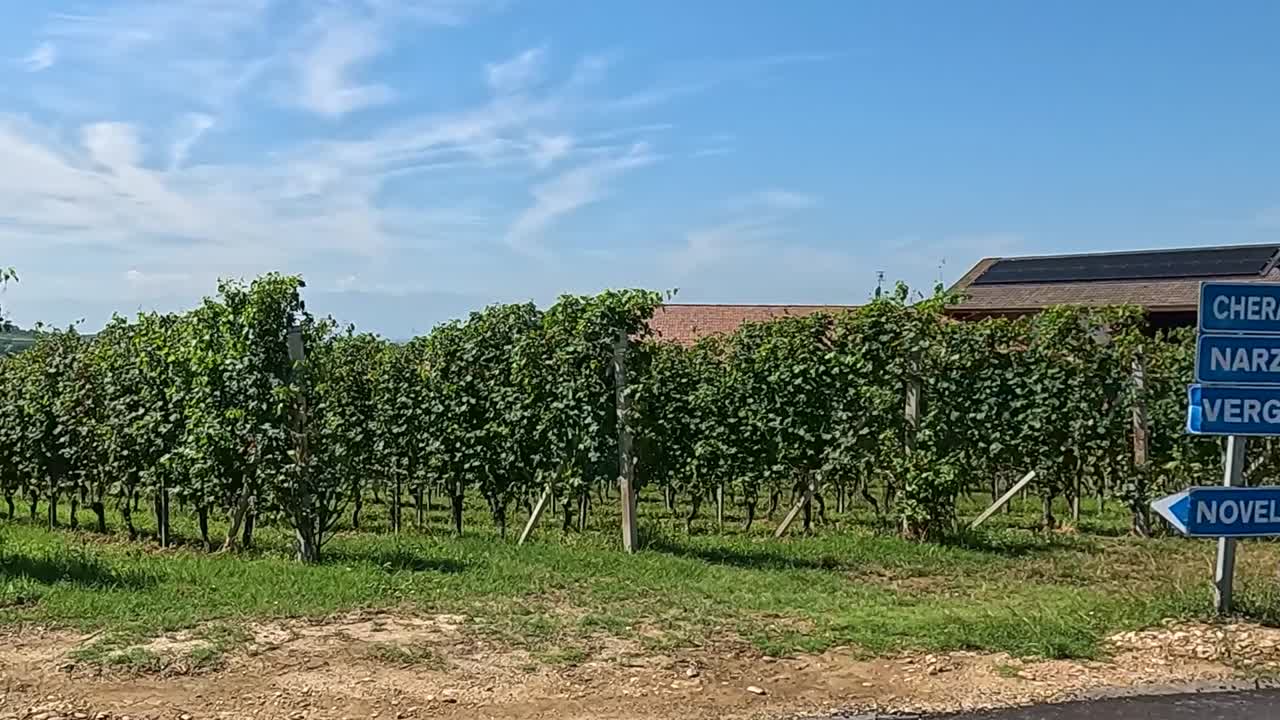 Explore lush vineyard rows, clear skies, and rural roads in the Italian countryside.