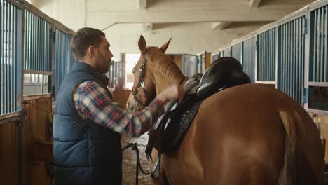 stableman is preparing a horse for a ride in stable.