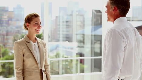 standing business people shaking their hands