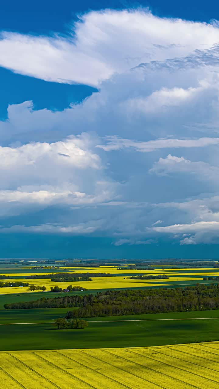 Timelapse of vast fields under a clear sky, peaceful and serene landscape