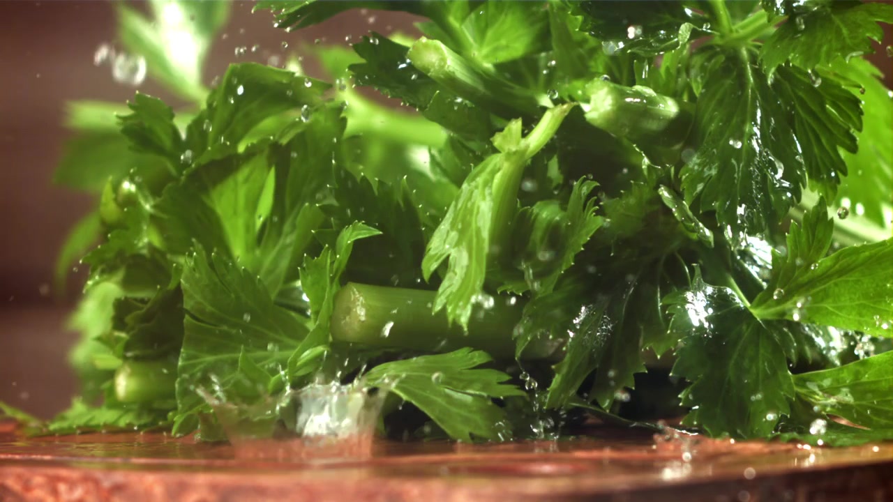 Acqua che schizza su foglie di sedano verde fresco al rallentatore