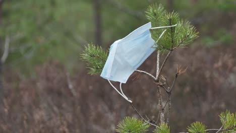 Medizinische-Einweg-blaue-Schutzmaske-Schwebt-Im-Wind-Auf-Den-Tannenzweigen,-Coronavirus-Covid-19-virusabfall