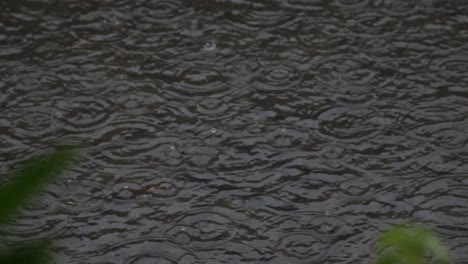 heavy rain, raindrops on the surface of the river with an irregular pattern