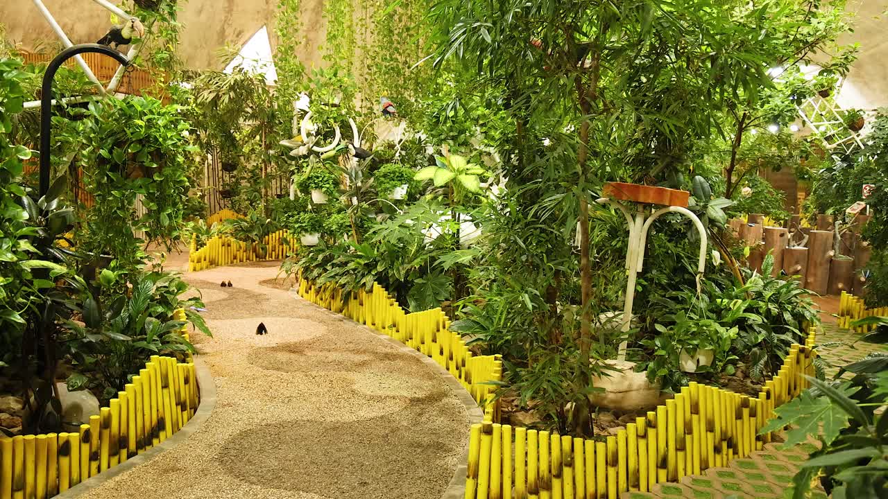 울창 한 초록색 으로 둘러싸인 조용 한 정원 길