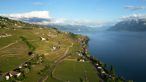 pan drone shot of lake geneva and lavaux terraced vineyards during the day in canton of vaud, switzerland