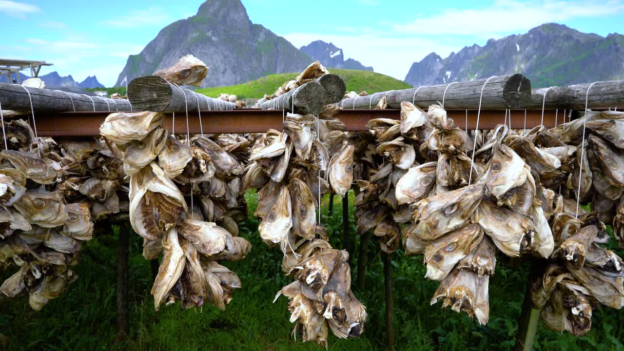 노르웨이 의  ⁇  에 말리는 물고기 머리