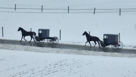 amish horse and buggies traveling on wet street surrounded by snow covered farmland