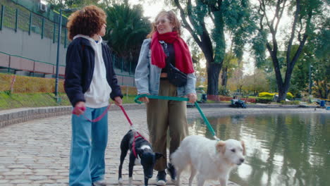 female friends walking with dogs in the park and chatting