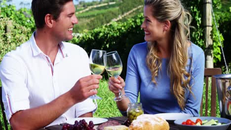 pareja afectuosa brindando copas de vino en el viñedo