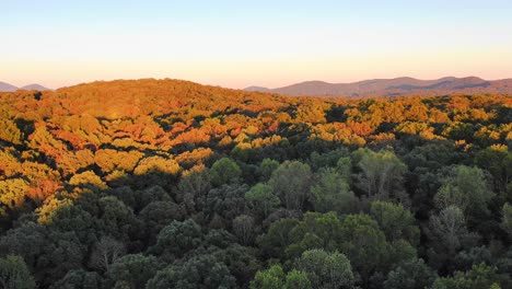 drone flight low above trees to rv camp site