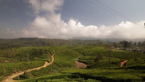 rolling hill sing the sri lanka highlands covered with tea trees, time lapse with clouds moving overhead