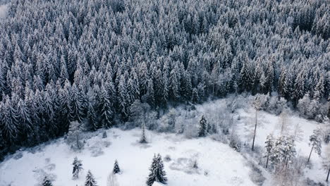 Luftaufnahme,-Neigung,-Drohnenschuss-über-Einem-Verschneiten-Haus-Und-Einem-Schneebedeckten-Wald,-Der-Die-Landschaft-An-Einem-Dunklen,-Bewölkten-Winterabend-In-Lammi,-Kanta-Häme,-Finnland-Enthüllt