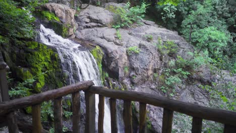 mysterious forest waterfall.