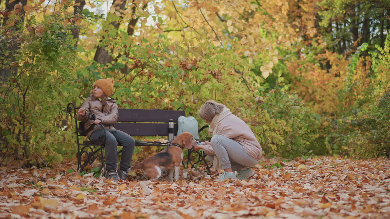 Girl in beanie reaches to pluck leaf from nearby branch while woman squats beside bench offering food to eager beagle with paws raised, surrounded by vibrant autumn leaves in peaceful forest setting