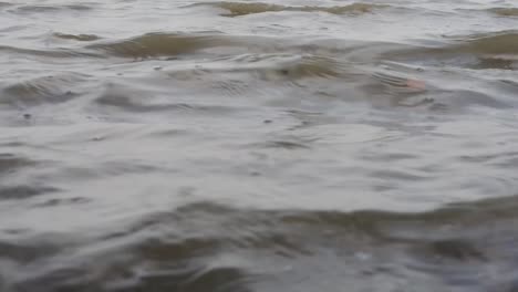 low shot of waves on the beach