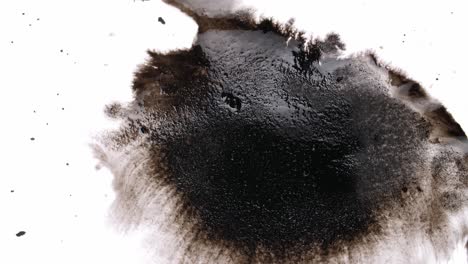 black ink drops on white background