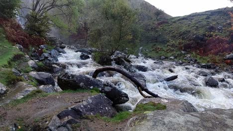 slow motion powerful splashing flowing water cascading over forest rock formation river