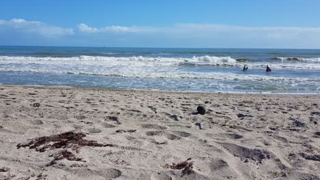 Vista-Estática-De-Las-Olas-En-La-Playa-Y-La-Gente-En-El-Agua,-Florida