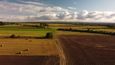 elevándose sobre el campo con campos variados, camino de tierra y franjas de protección con árboles y arbustos