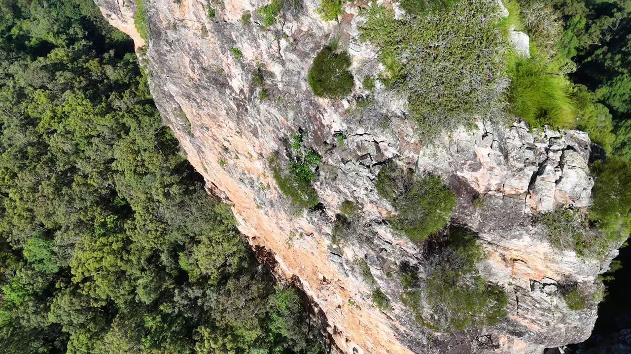 Drone footage captures the rugged rhyolite formations of Nimbin Rocks amidst lush eucalyptus forests in Australia