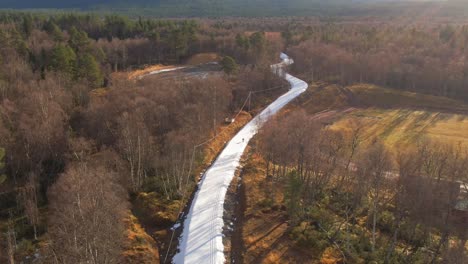 lonely skier skiing down isolated ski trail path in swedish alpine forest